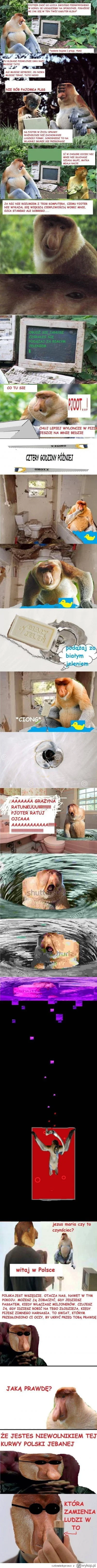 czlowiekproso - @Wojciech_Skupien ( ͡º ͜ʖ͡º)