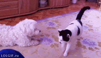 wfyokyga - Prööööt