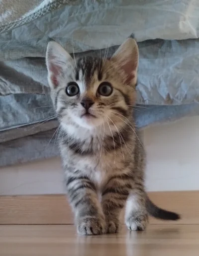 n1craM - @criticalkush90 pozdrawiam