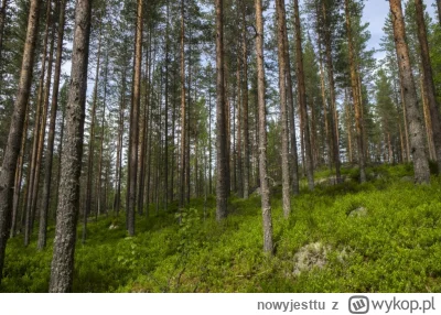 n.....u - Las Las Las