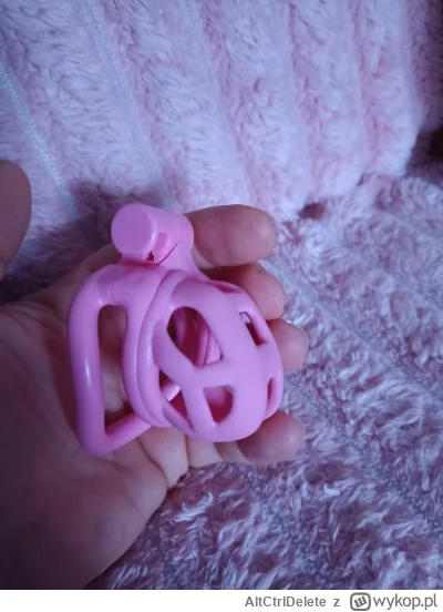 AltCtrlDelete - @meowmeow1
Ja też się zastanawiam ( ͡° ͜ʖ ͡°)