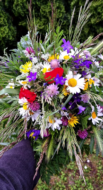 Arvin - Dzisiaj na #spierdotrip były zbierane kwiatki. Bukiet polny dla koliegów i ko...