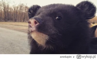 annlupin - @troglodyta_erudyta: