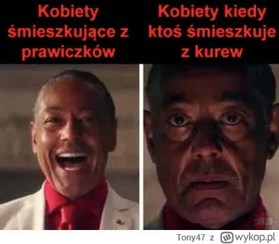 Tony47 - #przegryw #logikarozowychpaskow #logikaniebieskichpaskow