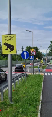 11211 - Uważacie na płazy? Ja zawsze uważam dzięki takim znakom.
#wroclaw #rower #pla...