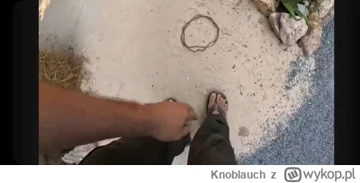 Knoblauch - @Otyly-grzybiorz możliwe