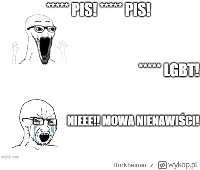 Horkheimer - Rozwala mnie hipokrycja lewicy xddd Chcą karać za hejt wobec osób LGBT, ...