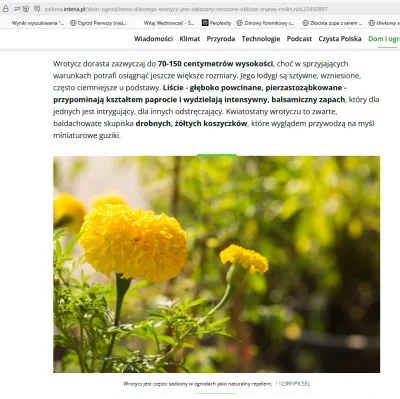 thelasttomatointhe_world - jprd w #interia same boty Ai pracują i to debilne 

#ogrod...