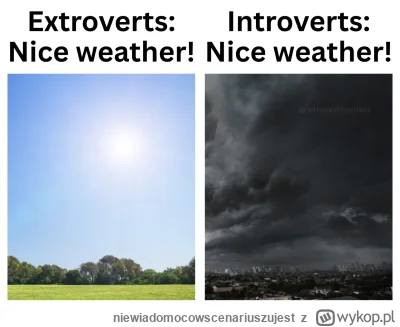 niewiadomocowscenariuszujest