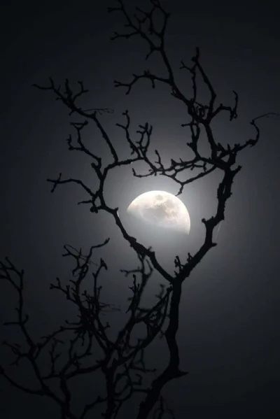 f.....e - Tᴇɴ śᴡɪᴀᴛ ᴊᴇꜱᴛ ᴡ ɪꜱᴛᴏᴄɪᴇ ᴘɪęᴋɴᴇᴍ.

#przegryw