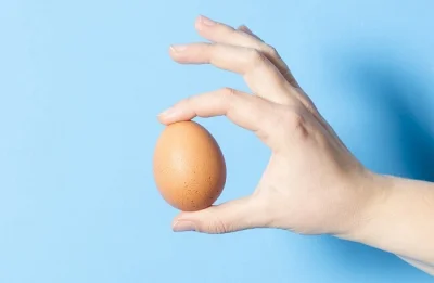 gorobei - @nowekontorly: