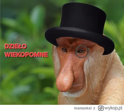 manaskal - @rekinwskarpetce: