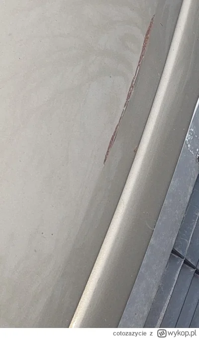 cotozazycie - @cotozazycie: