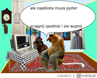 CzarusCC - #konkursnanajbardziejgownianymemznosaczem