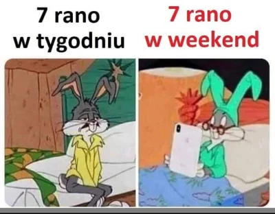 Vegasik69 - ( ͡º ͜ʖ͡º)