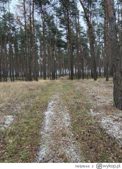 helpless - Poranny #spierdotrip w #las.