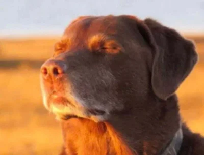 sebamen11 - @XXXyyyx: