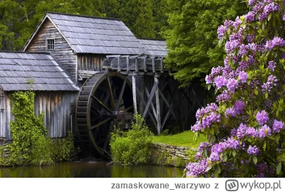 zamaskowane_warzywo - @anoysath: A to nie jest tak, że w młynie woda płynie z wyżej d...