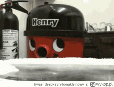 kwas_dezoksyrybonukleinowy - dajcie mi 30 minut
#famemma