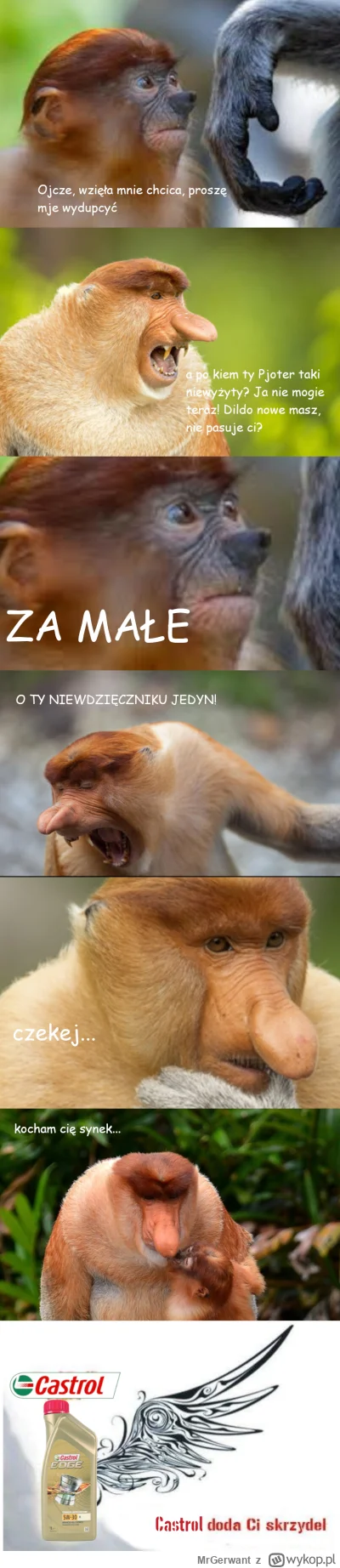 MrGerwant - #konkursnanajbardziejgownianymemznosaczem #sztukadlasprawiedliwych #polsk...