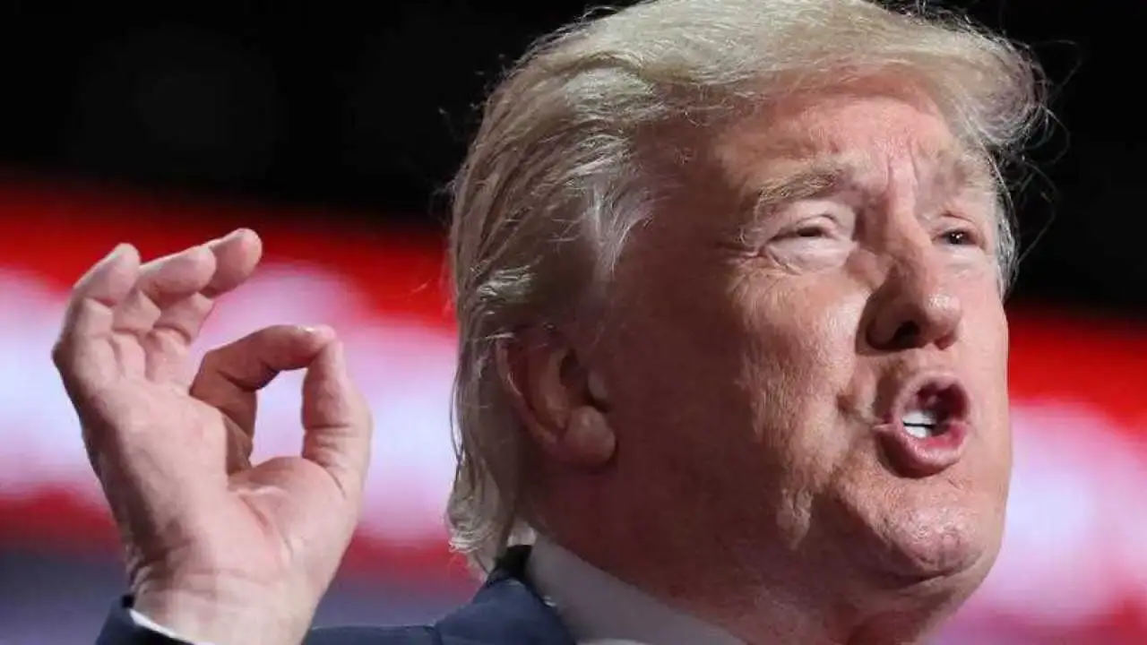 fornson23 - @miloszy