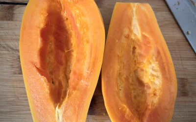 asdfghjkl - Hop nie wyczymoł ( ͡° ͜ʖ ͡°) zaraz będzie jogurt z papajo #legancko