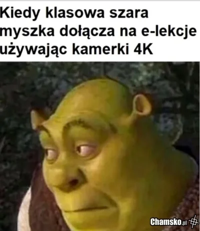 Trzesidzida - #gownowpis