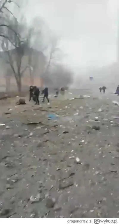 orogonoria2 - @orogonoria2: 
Czernihów 2022