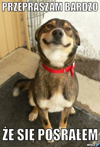 4x80 - @G06DbT: Rano miałem kaca, pracowałem całą sobotę i niedzielę a wcześniej na k...