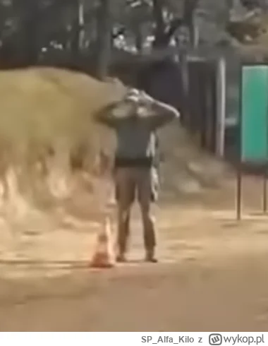 SPAlfaKilo - @od-bana-do-bana: