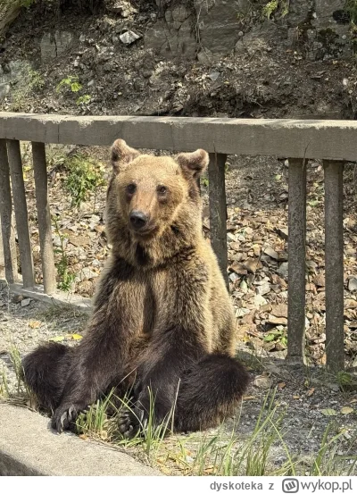dyskoteka - @lvbie_placki byłem tam dzisiaj. Zastanawiałem się wczoraj, czemu trasa T...