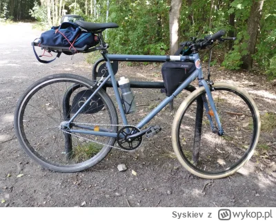 Syskiev - 445 977 + 45 = 446 022

Jak go kupowałem bałem się, że brak przerzutek będz...