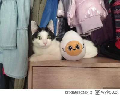 brodatakozax - @maria_kiribati: