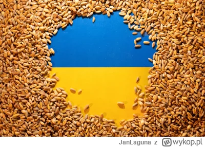 JanLaguna - Ukraina skarży Polskę do Światowej Organizacji Handlu

Ukraina złożyła w ...
