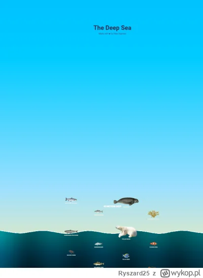 R.....5 - fruwająca foka, łosoś jastrząb i koralowce na powierzchni