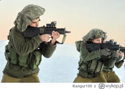 Kangur100 - @ulan_mazowiecki to jest bielizna pod czapkę właściwą