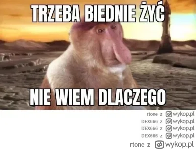 rtone - To dobry mem jeszcze jest, już byś chciał wyrzucać, myślisz, że memy to na dr...