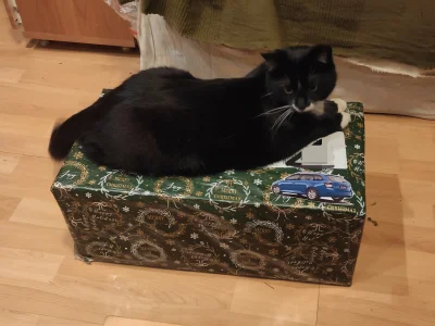 Fishuur - @Fishuur kocur dla skali