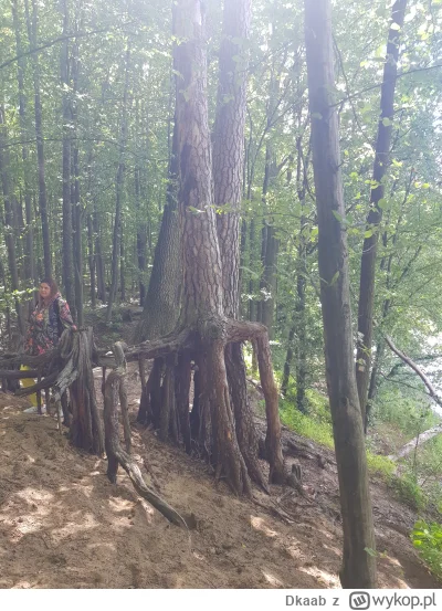 Dkaab - W Spale nad Pilicą widziałem podobnego. Powstała dzięki  wypłukaniu podłoża p...