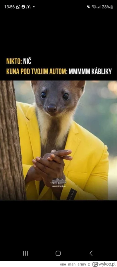 onemanarmy - #czeskiememy #heheszki #samochody