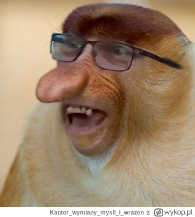 Kantorwymianymysliiwrazen - @WUJICO: @w0jmar