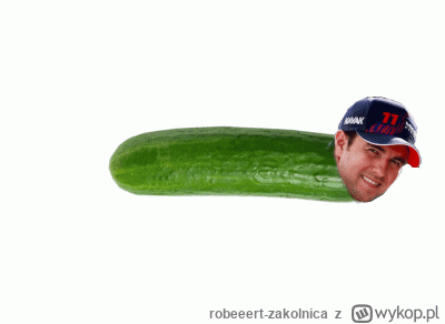 robeeert-zakolnica - klasycznie
#f1