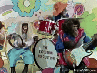 CzikaKiri - #mambonumber255 #psychiatriakliniczna #odklejenie

Cziki Band świętuje 19...