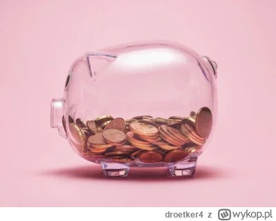 droetker4 - Różnica pomiędzy inwestowaniem, a oszczędzaniem.

O sytuacji finansowej P...