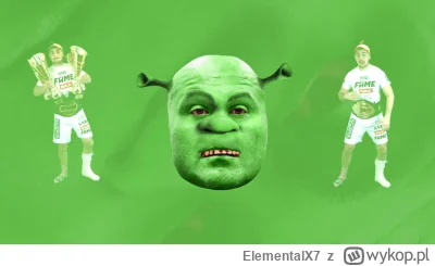 ElementalX7 - #famemma To były czasy (╥﹏╥)