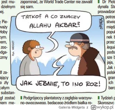 Galeria-Widgeta - Publikacja w Tygodniku NIE
Rys. Widget

#gazeta #goral