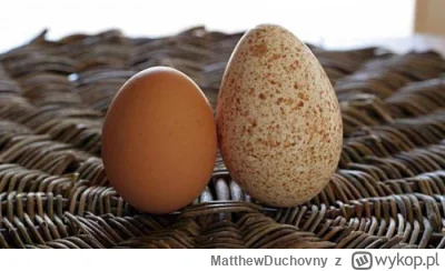 MatthewDuchovny - Ej, taka rozkmina: widzieliście kiedyś w sklepie indycze jaja? 

In...