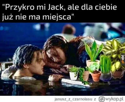 januszzczarnolasu - @qajajaj: Titanic poszedł na dno ale podziały społeczne pozostały...