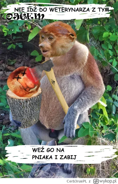 Cerb3rusPL - @poranna-sztyca: Ojcobójstwo?