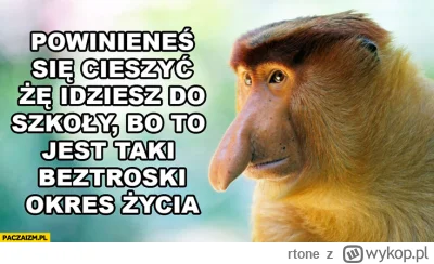 rtone - #konkursnanajbardziejgownianymemznosaczem